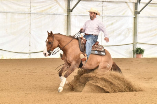 Futurity Toscano e 6 tappa TRHA 2018 - BESSI GIANLUCA sul suo KN MADE TO CHIC con score 70