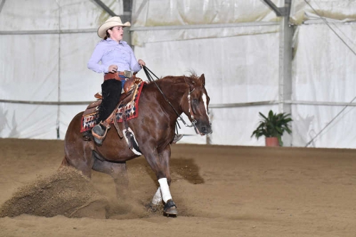 Futurity Toscano e 6 tappa TRHA 2018 - MEACCI LISA su PICCOLO SURPRISE di MEACCI ADRIANO con score 70