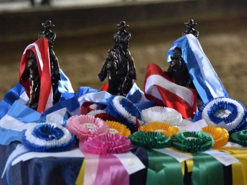 Risultati della domenica Futurity Toscano e 6 tappa TRHA 2018