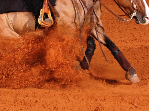 Score card del sabato Futurity Toscano e 6 tappa TRHA 2018