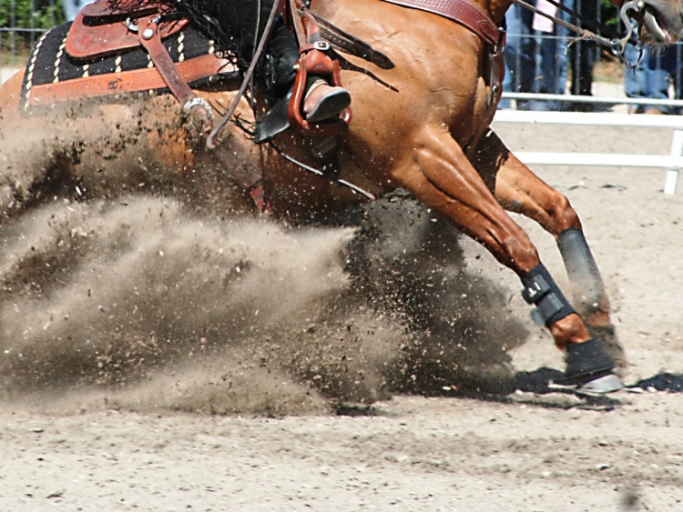 Score card venerdì 5 tappa TRHA-IRHA-FISE-NRHA 2026